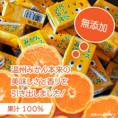 果汁100%紙パックみかんジュース125ml×40本_1521R