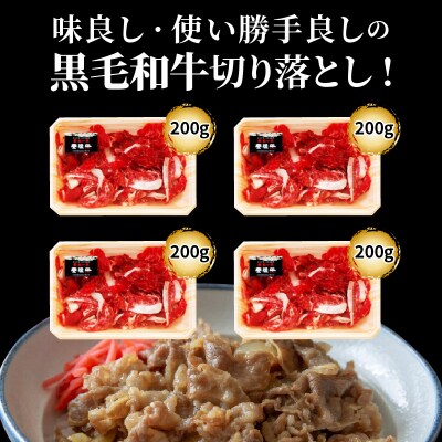 小分けで便利な4パック!豊後牛切り落し計800g_1259R