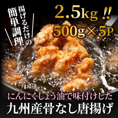カラっと美味しい2.5kg!鶴ちゃんの骨なし唐揚げ_0082N
