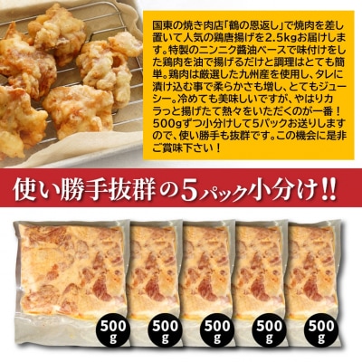 カラっと美味しい2.5kg!鶴ちゃんの骨なし唐揚げ_0082N