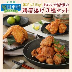 唐揚げ 人気お礼品ランキング 週間 ふるさと納税サイト さとふる