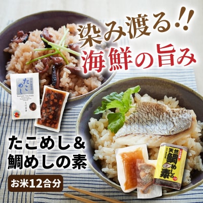 国東たこめし&鯛めしの素/お米12合分_1314R