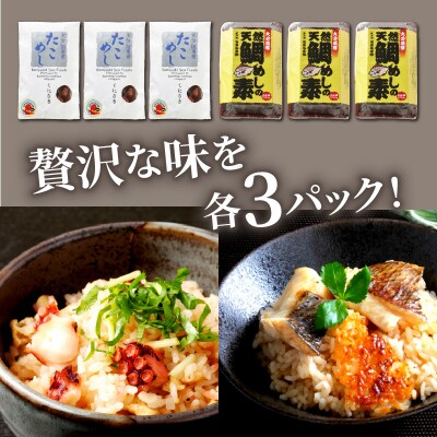 国東たこめし&鯛めしの素/お米12合分_1314R