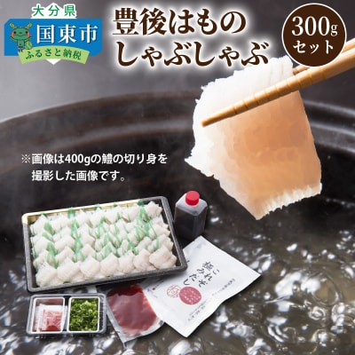 豊後はものしゃぶしゃぶ300gセット_1319R