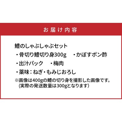豊後はものしゃぶしゃぶ300gセット_1319R