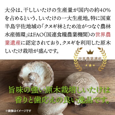 香ばしさ満点!原木椎茸の姿煎餅10袋_0130N