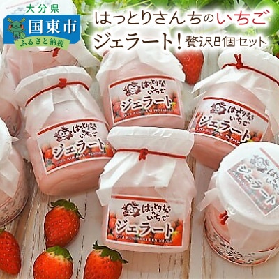 はっとりさんちのいちごジェラート!贅沢8個セット_0241N