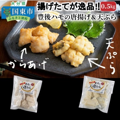 揚げたてが美味!豊後ハモの唐揚げ&天ぷら/0.5kg_0275N