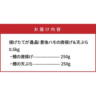 揚げたてが美味!豊後ハモの唐揚げ&天ぷら/0.5kg_0275N