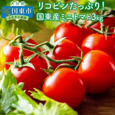 リコピンたっぷり!国東産ミニトマト3kg_0260N