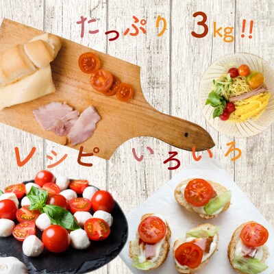 リコピンたっぷり!国東産ミニトマト3kg_0260N