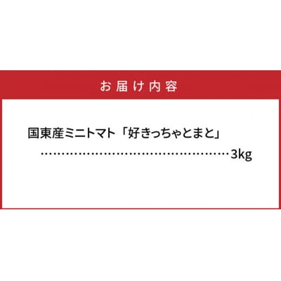 リコピンたっぷり!国東産ミニトマト3kg_0260N