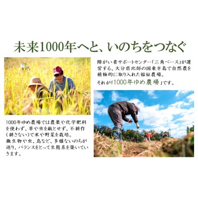 1000年ゆめ農場「桑の葉茶」10包×3パック_1965R