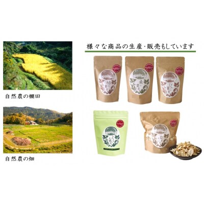 1000年ゆめ農場「桑の葉茶」10包×3パック_1965R