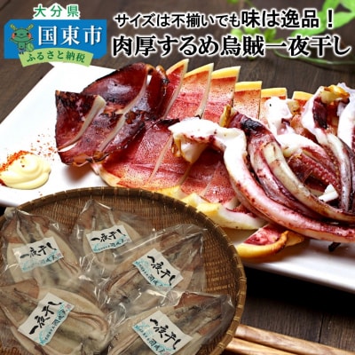 サイズは不揃いでも味は逸品!肉厚するめ烏賊一夜干し_1511R