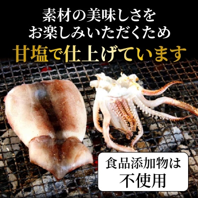 サイズは不揃いでも味は逸品!肉厚するめ烏賊一夜干し_1511R