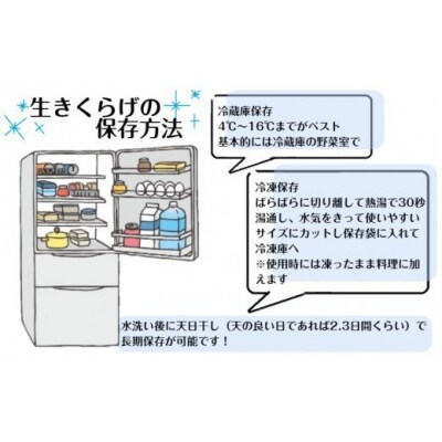 【希少/申込9月15日まで】きくらげセット(生きくらげ+乾きくらげ)_1799R
