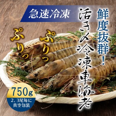鮮度抜群!活き〆冷凍車海老(750g)_29017B