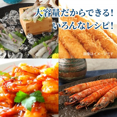 鮮度抜群!活き〆冷凍車海老(750g)_29017B