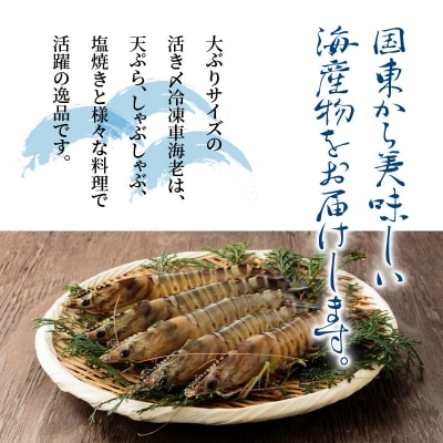 鮮度抜群!活き〆冷凍車海老(360g)_29100A