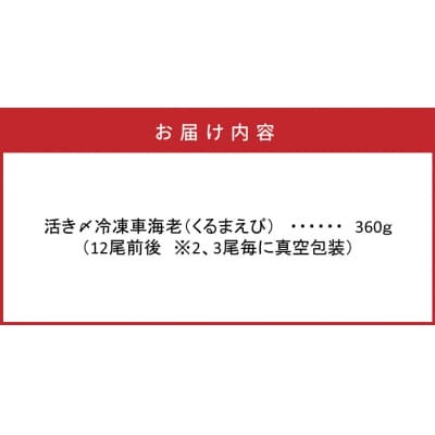 鮮度抜群!活き〆冷凍車海老(360g)_29100A