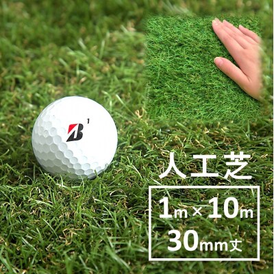 まるで天然芝のような触り心地!アイリスソーコー人工芝1m×10m_2055R
