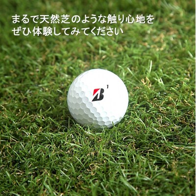 まるで天然芝のような触り心地!アイリスソーコー人工芝1m×10m_2055R