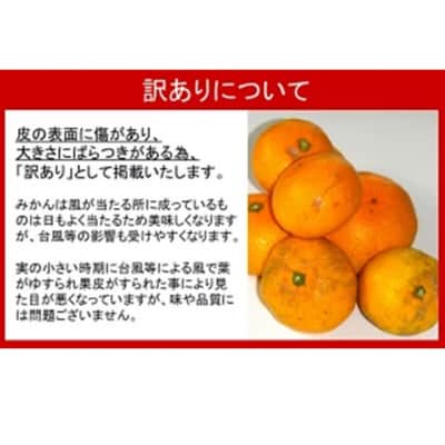 【訳あり】岸田果樹園「温故蜜柑」約7kg_2088R