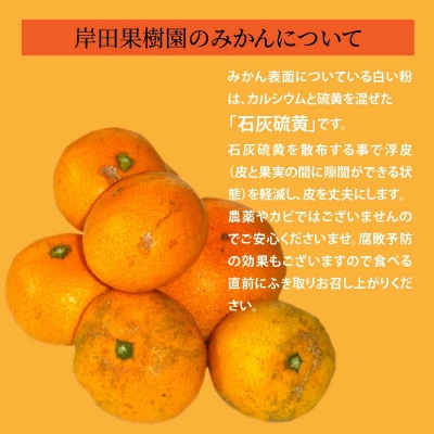 【訳あり】岸田果樹園「温故蜜柑」約7kg_2088R
