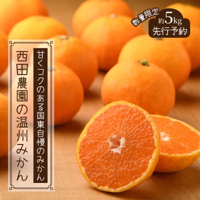 【先行受付】西田農園の温州みかん約5kg_1273R