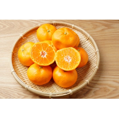 【先行受付】西田農園の温州みかん約5kg_1273R