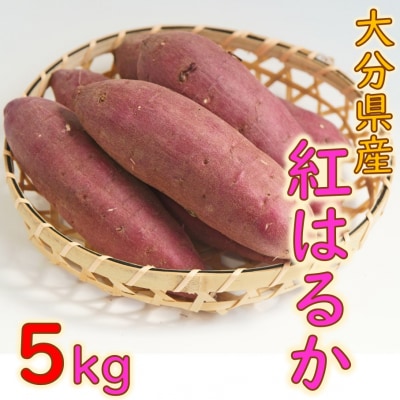 令和5年12月より発送!大分県産紅はるか(生芋)5kg_1706R | ふるさと納税のお礼品