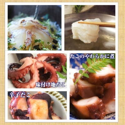お家で海鮮三昧!特上海鮮4月から1年間定期便/計12回発送_1682R