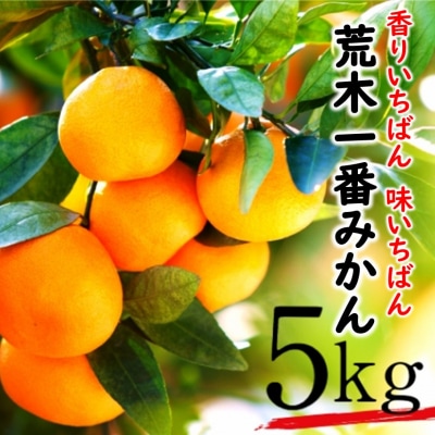 【先行受付・年内配送】令和7年12月中出荷/荒木一番みかん約5kg _1271R-1
