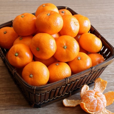 【先行受付・年内配送】令和7年12月中出荷/荒木一番みかん約5kg _1271R-1