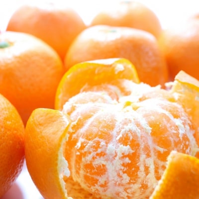 【先行受付・年内配送】令和7年12月中出荷/荒木一番みかん約5kg _1271R-1