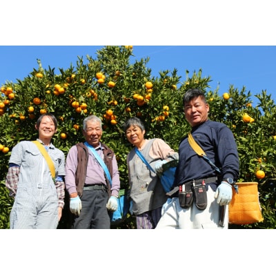 【先行受付・年内配送】令和7年12月中出荷/荒木一番みかん約5kg _1271R-1