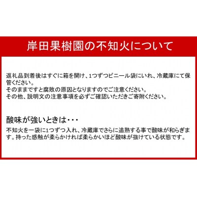 【先行予約】トンネルで貯蔵熟成/岸田果樹園の不知火 約5kg_1440R