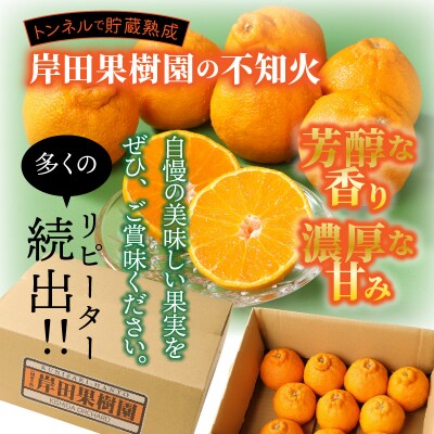 【先行予約】トンネルで貯蔵熟成/岸田果樹園の不知火 約5kg_1440R