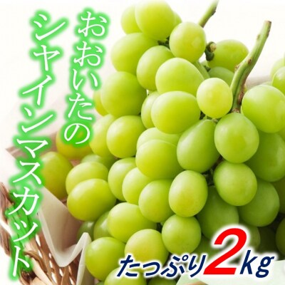 【先行受付】令和5年8月下旬より発送/おおいたの豊潤シャインマスカット2kg_1615R