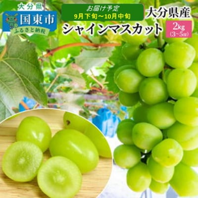 【先行受付】 おおいたの豊潤シャインマスカット約2kg 令和8年出荷分_1615R
