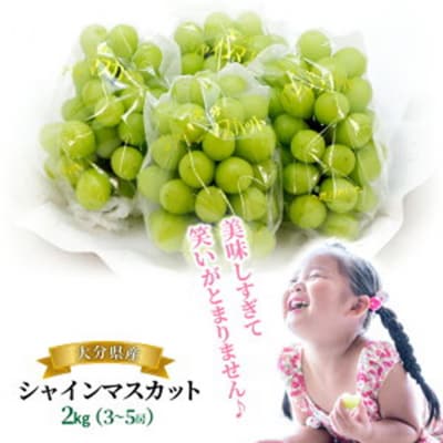 【先行受付】 おおいたの豊潤シャインマスカット約2kg 令和8年出荷分_1615R
