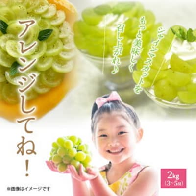 【先行受付】 おおいたの豊潤シャインマスカット約2kg 令和8年出荷分_1615R