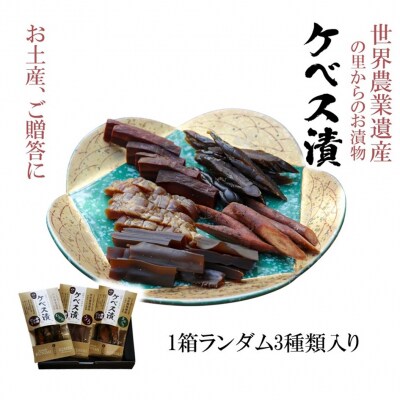 西の関の酒粕で作ったこだわりの「季節のケベス漬け」1箱ランダム3種セット(計510g)_2106R