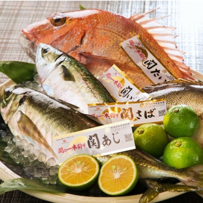 東京・有楽町で味わう坐来大分贅沢お食事券「豊山」 2名様分_2108R-P