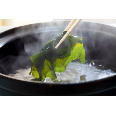 【令和8年発送/予約受付開始】立春採れの柔らか新芽!くにさき天然わかめ1.5kg_1443R