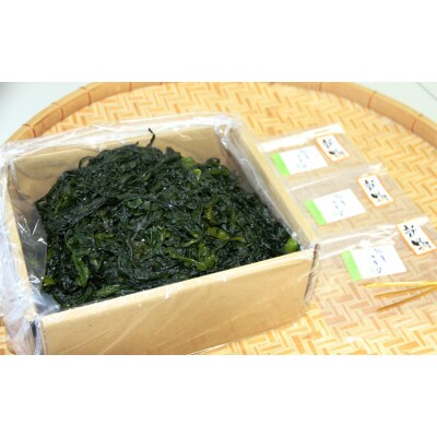 【令和7年発送/受付開始】立春採れの柔らか新芽!くにさき天然わかめ1.6kg_1443R