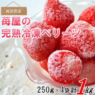 美味しさそのまま!苺屋の冷凍いちご1kg(250g×4P/品種:ベリーツ)_2148R