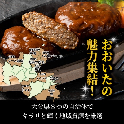 おおいたの魅力集結!大分の恵みハンバーグ 1.6kg(160g×10個)_2146R_2146R