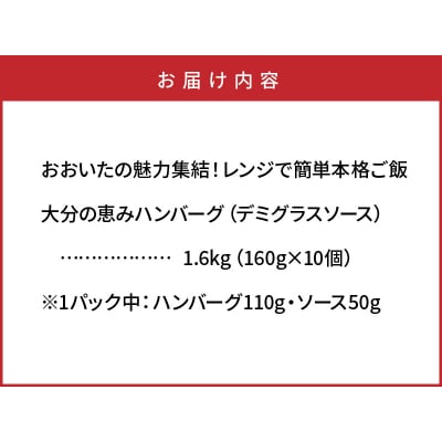 おおいたの魅力集結!大分の恵みハンバーグ 1.6kg(160g×10個)_2146R_2146R